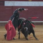 Arroyo de la Encomienda, domingo 16 de febrero de 2020