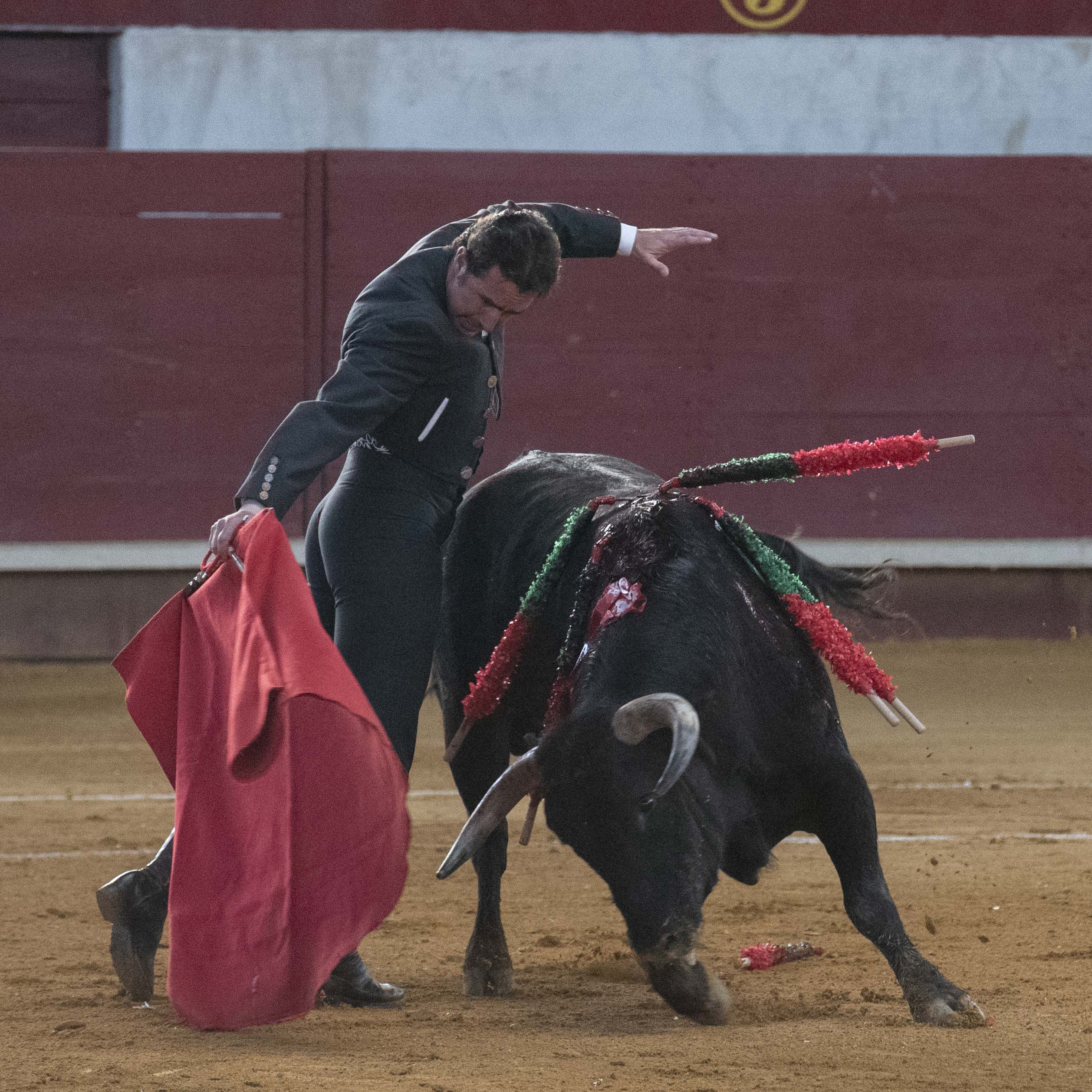 Arroyo de la Encomienda, domingo 16 de febrero de 2020