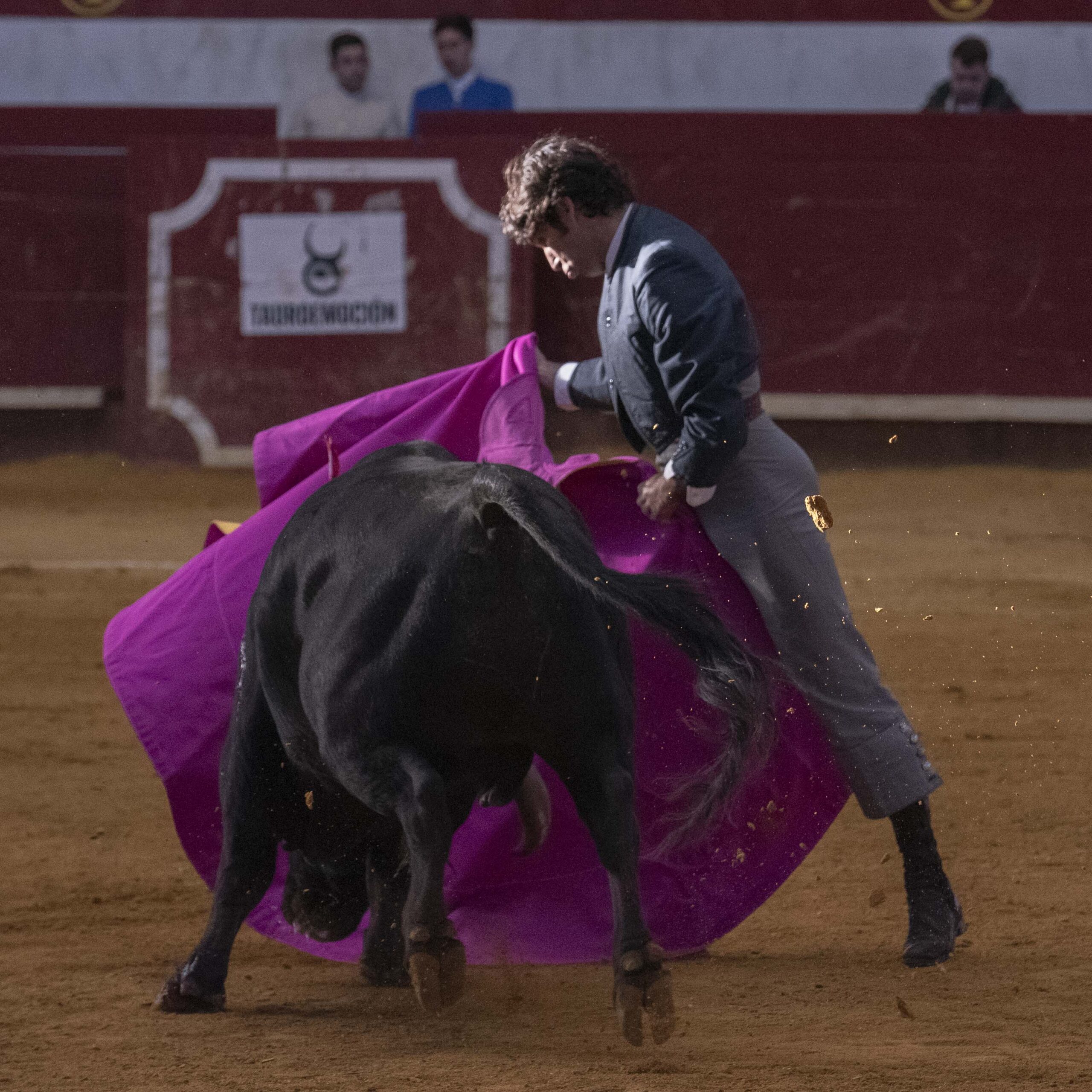 Arroyo de la Encomienda, domingo 16 de febrero de 2020