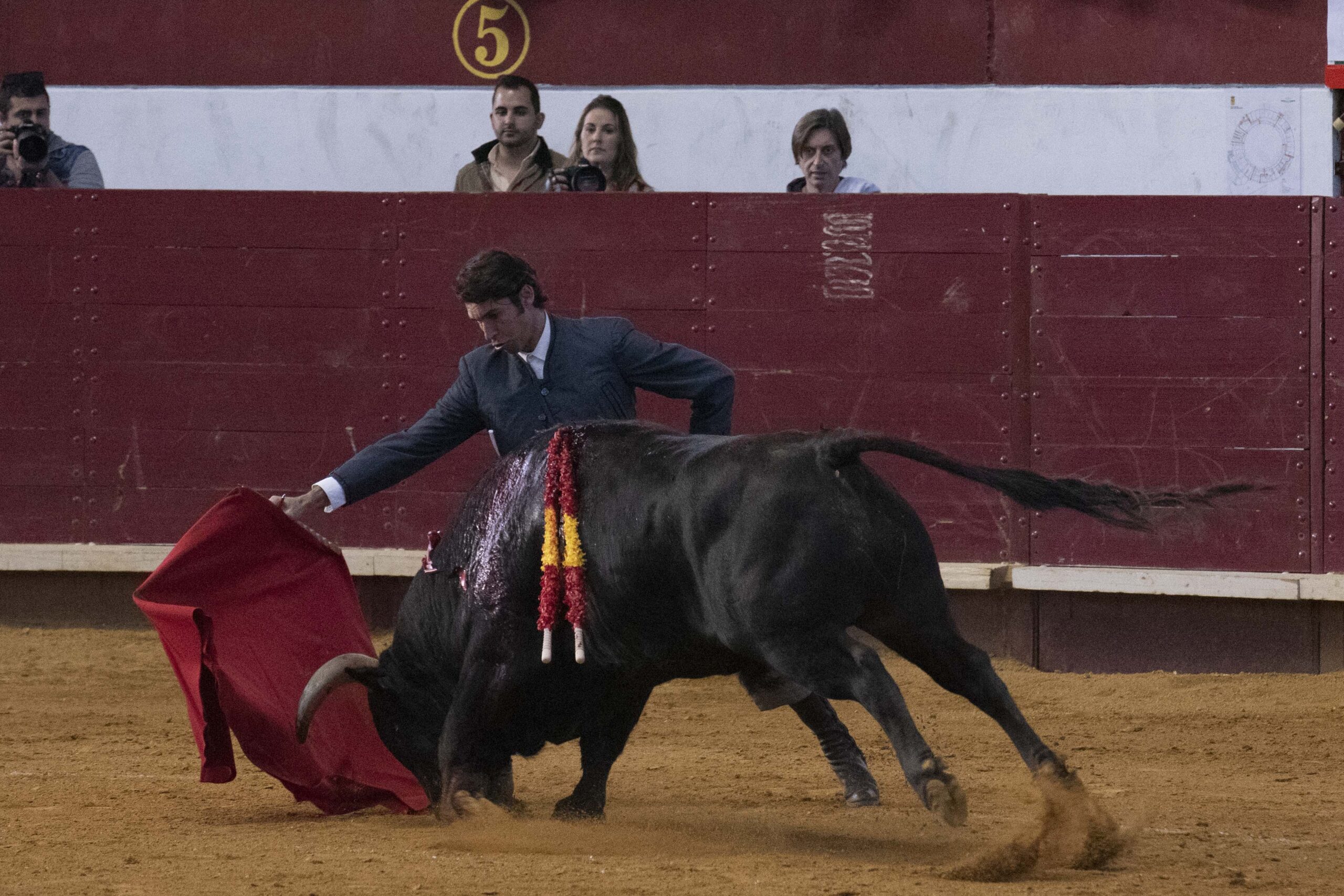 Arroyo de la Encomienda, domingo 16 de febrero de 2020