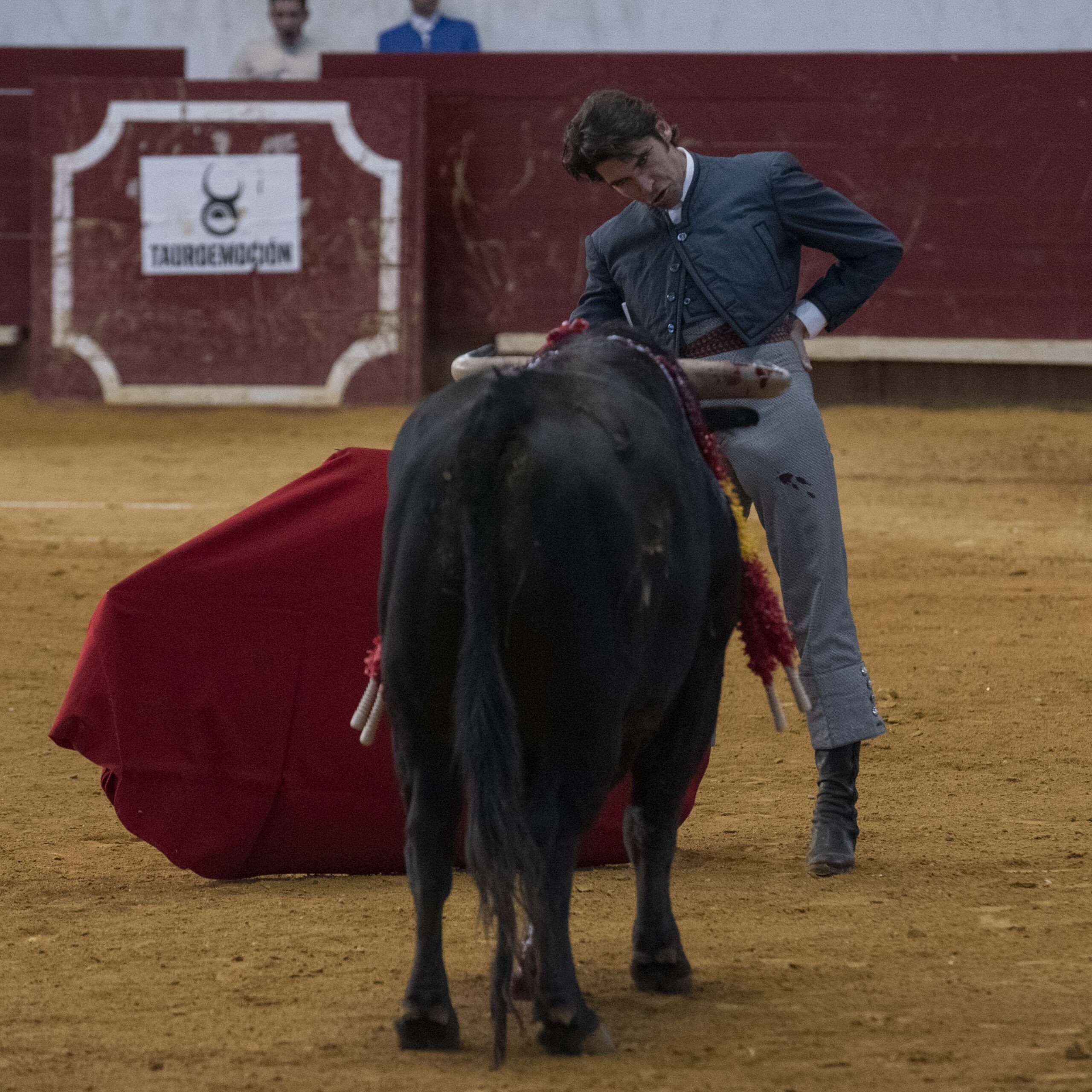 Arroyo de la Encomienda, domingo 16 de febrero de 2020