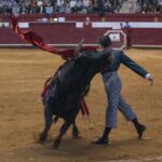 Arroyo de la Encomienda, domingo 16 de febrero de 2020