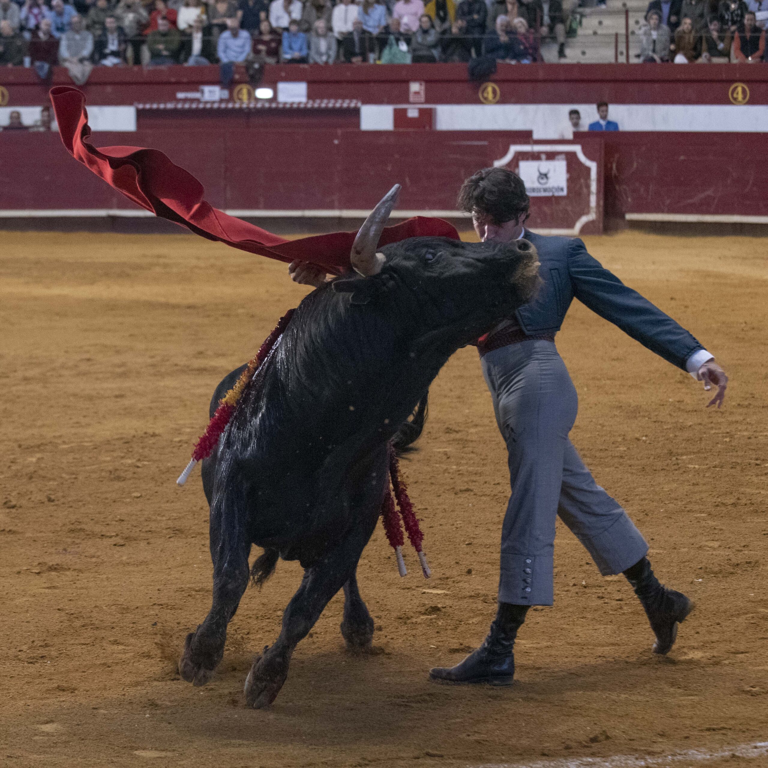 Arroyo de la Encomienda, domingo 16 de febrero de 2020