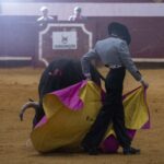 Arroyo de la Encomienda, domingo 16 de febrero de 2020