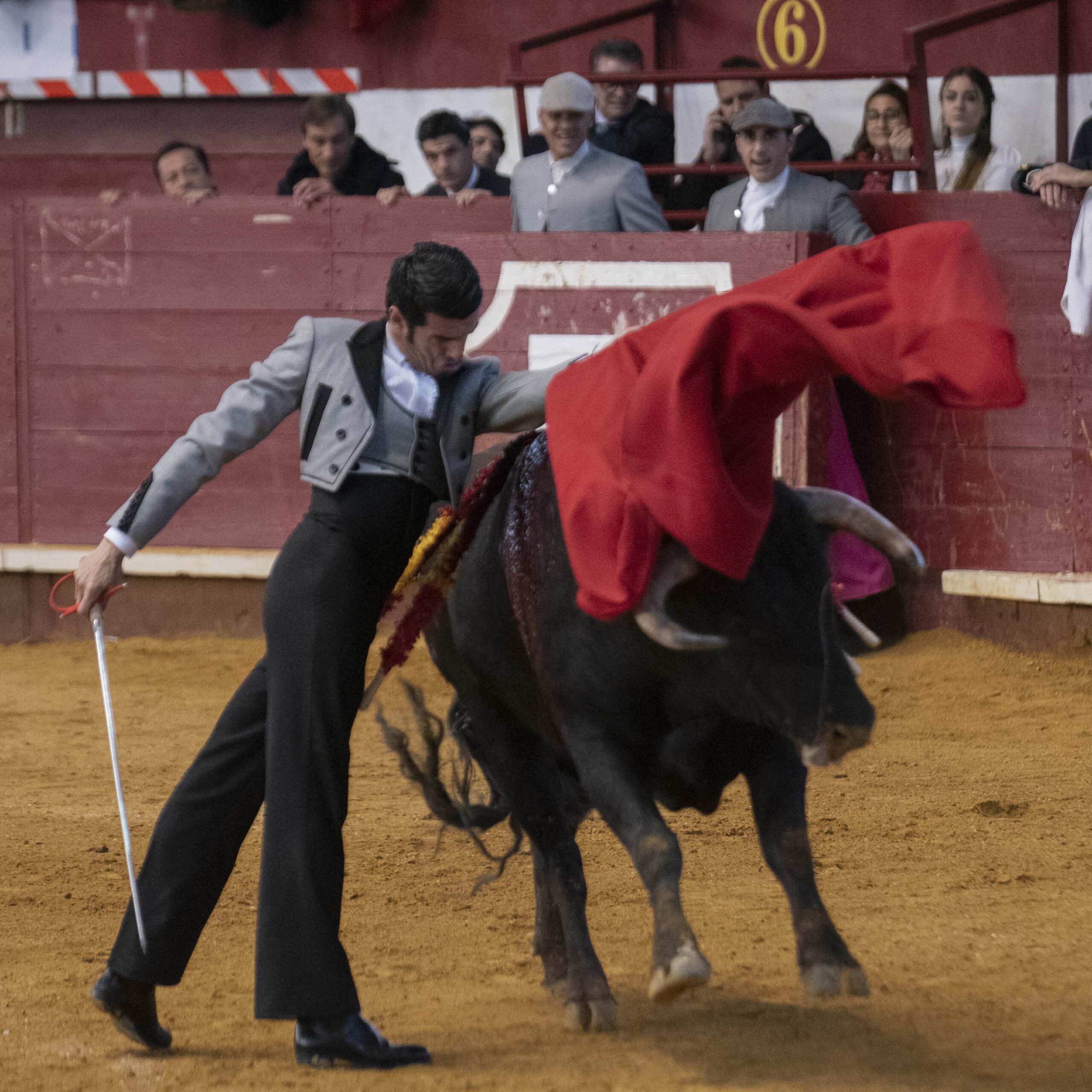 Arroyo de la Encomienda, domingo 16 de febrero de 2020