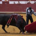 Arroyo de la Encomienda, domingo 16 de febrero de 2020