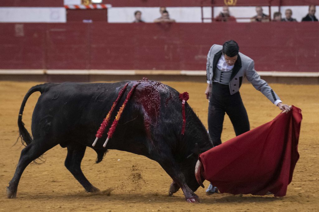 Arroyo de la Encomienda, domingo 16 de febrero de 2020