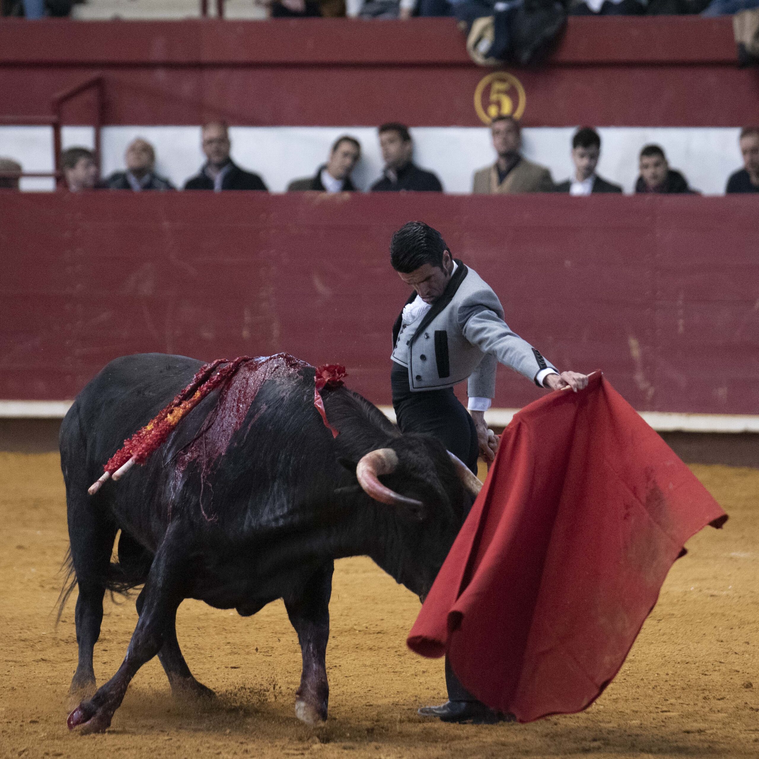 Arroyo de la Encomienda, domingo 16 de febrero de 2020