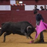 Arroyo de la Encomienda, domingo 16 de febrero de 2020