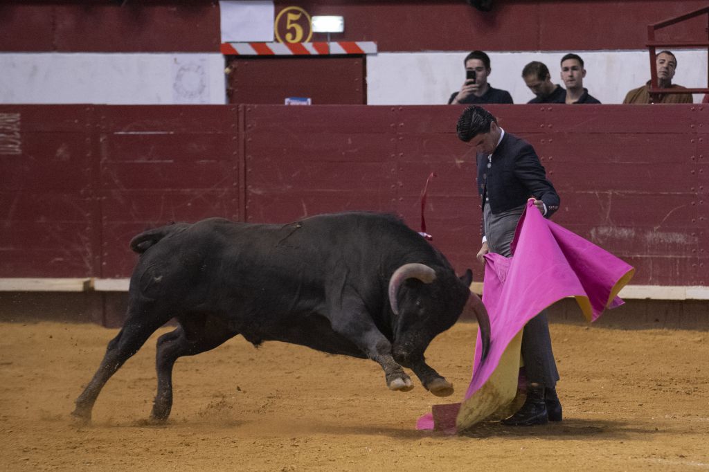 Arroyo de la Encomienda, domingo 16 de febrero de 2020