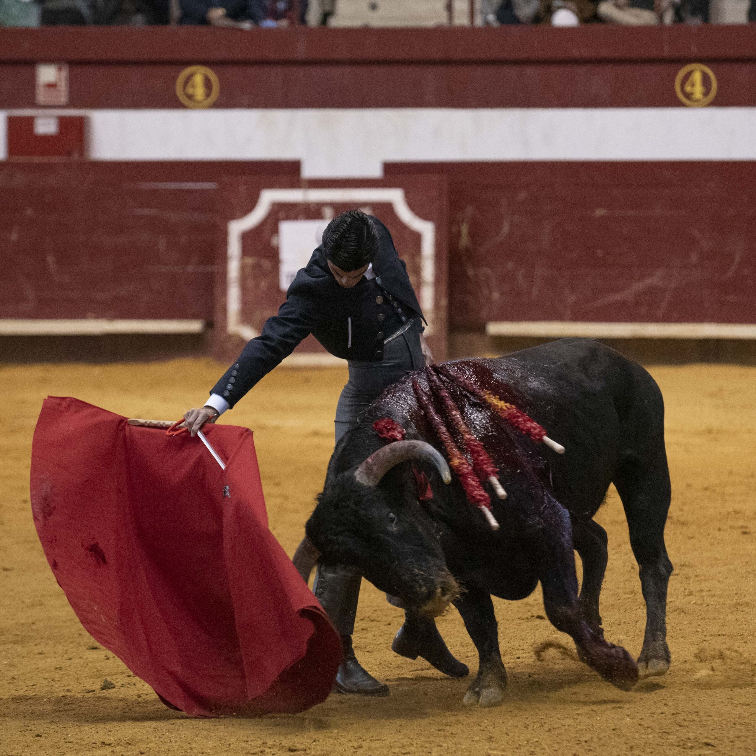 Arroyo de la Encomienda, domingo 16 de febrero de 2020