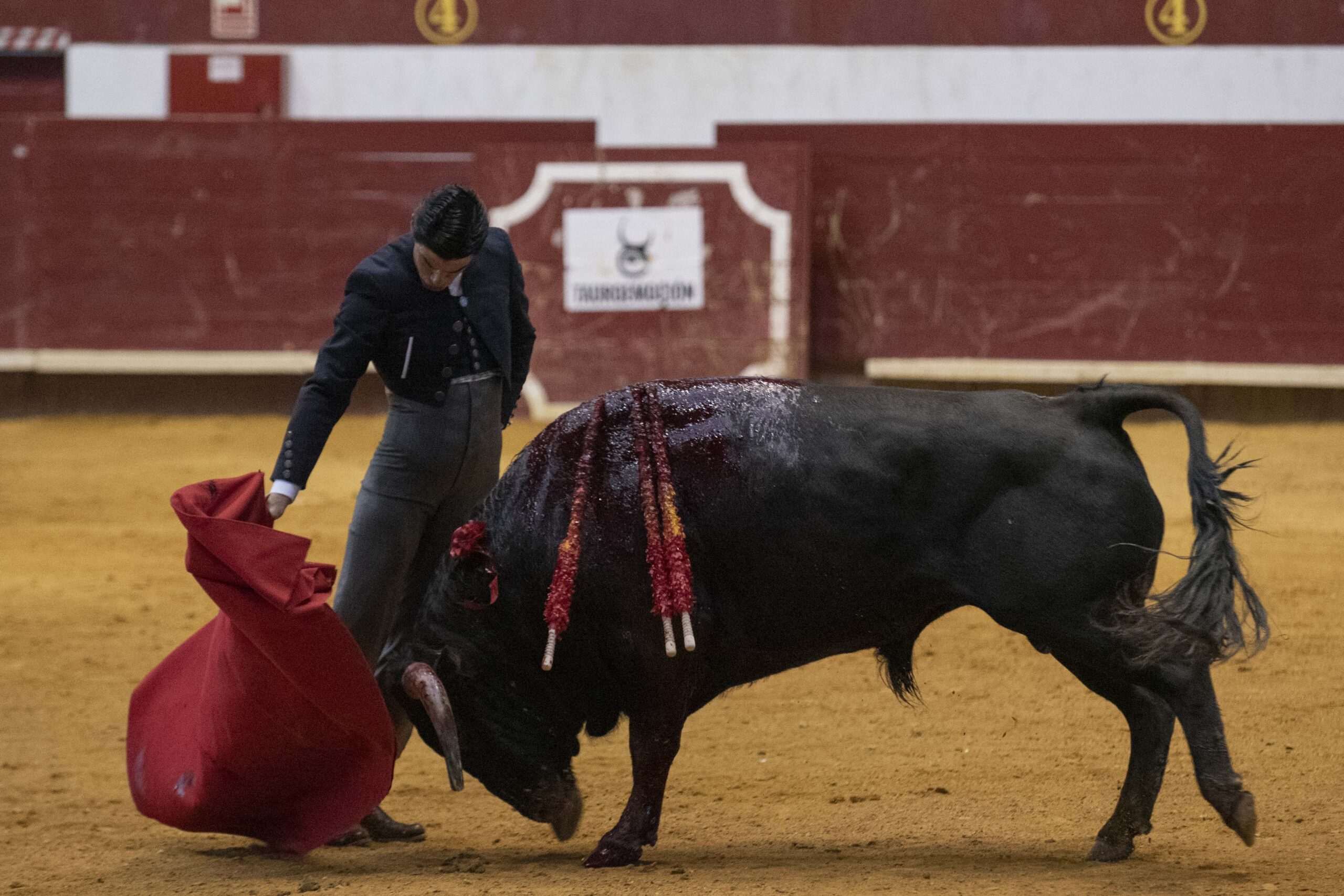 Arroyo de la Encomienda, domingo 16 de febrero de 2020
