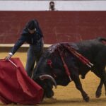 Arroyo de la Encomienda, domingo 16 de febrero de 2020