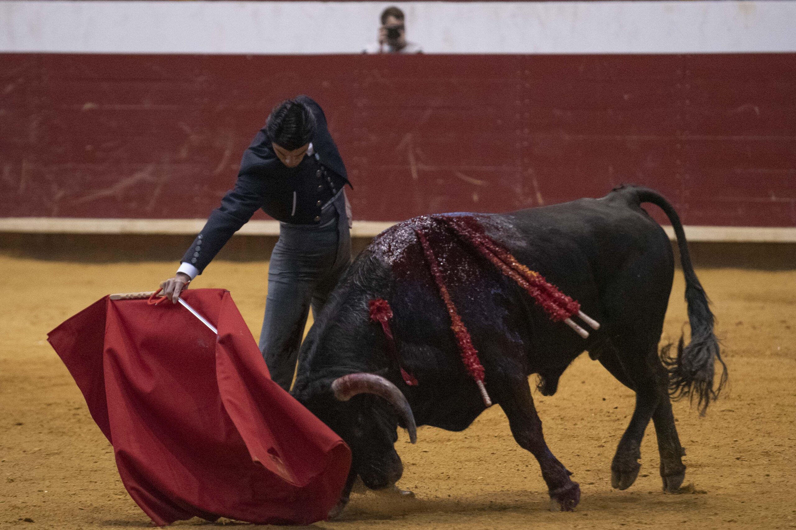 Arroyo de la Encomienda, domingo 16 de febrero de 2020