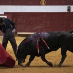 Arroyo de la Encomienda, domingo 16 de febrero de 2020