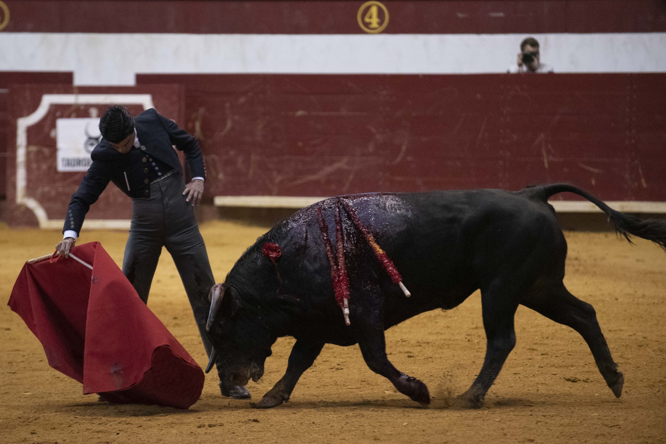 Arroyo de la Encomienda, domingo 16 de febrero de 2020
