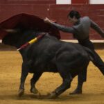 Arroyo de la Encomienda, domingo 16 de febrero de 2020