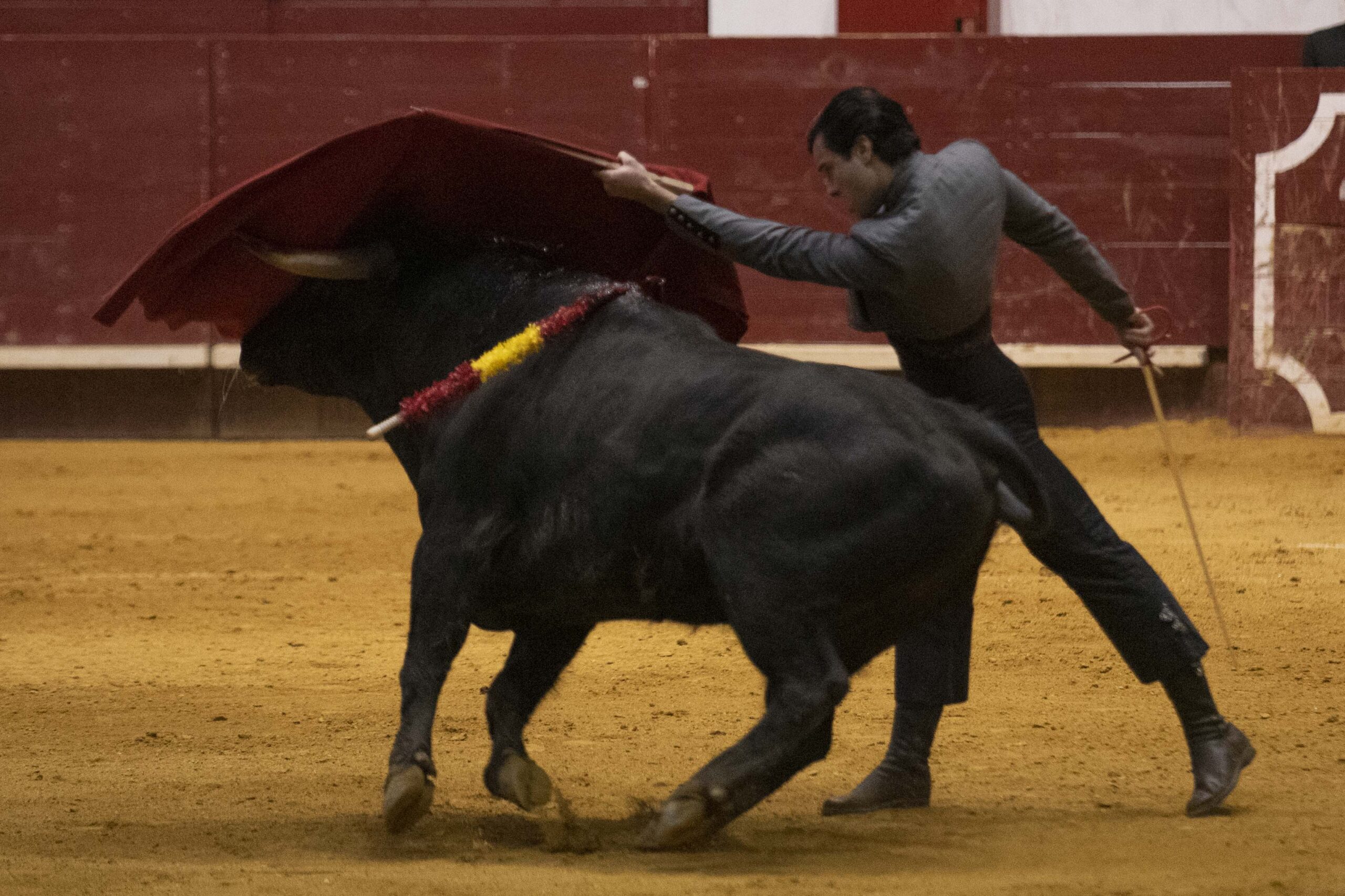 Arroyo de la Encomienda, domingo 16 de febrero de 2020