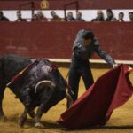 Arroyo de la Encomienda, domingo 16 de febrero de 2020