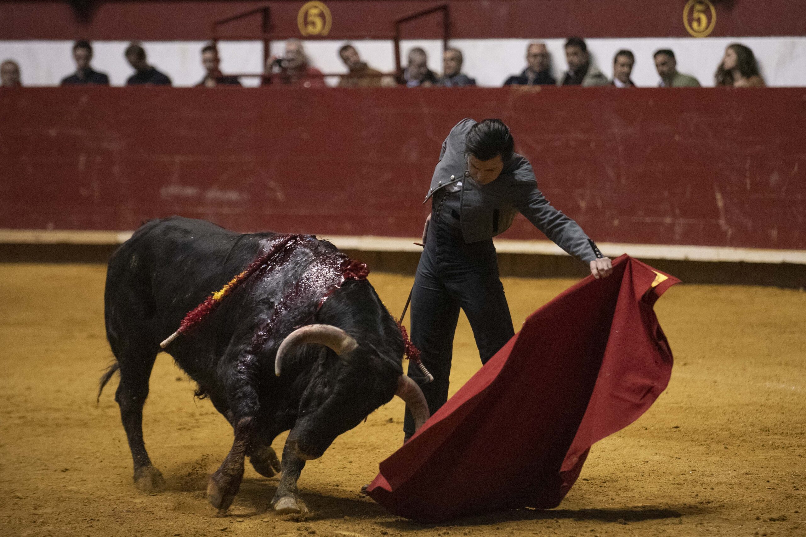 Arroyo de la Encomienda, domingo 16 de febrero de 2020