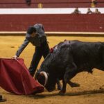 Arroyo de la Encomienda, domingo 16 de febrero de 2020