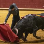 Arroyo de la Encomienda, domingo 16 de febrero de 2020