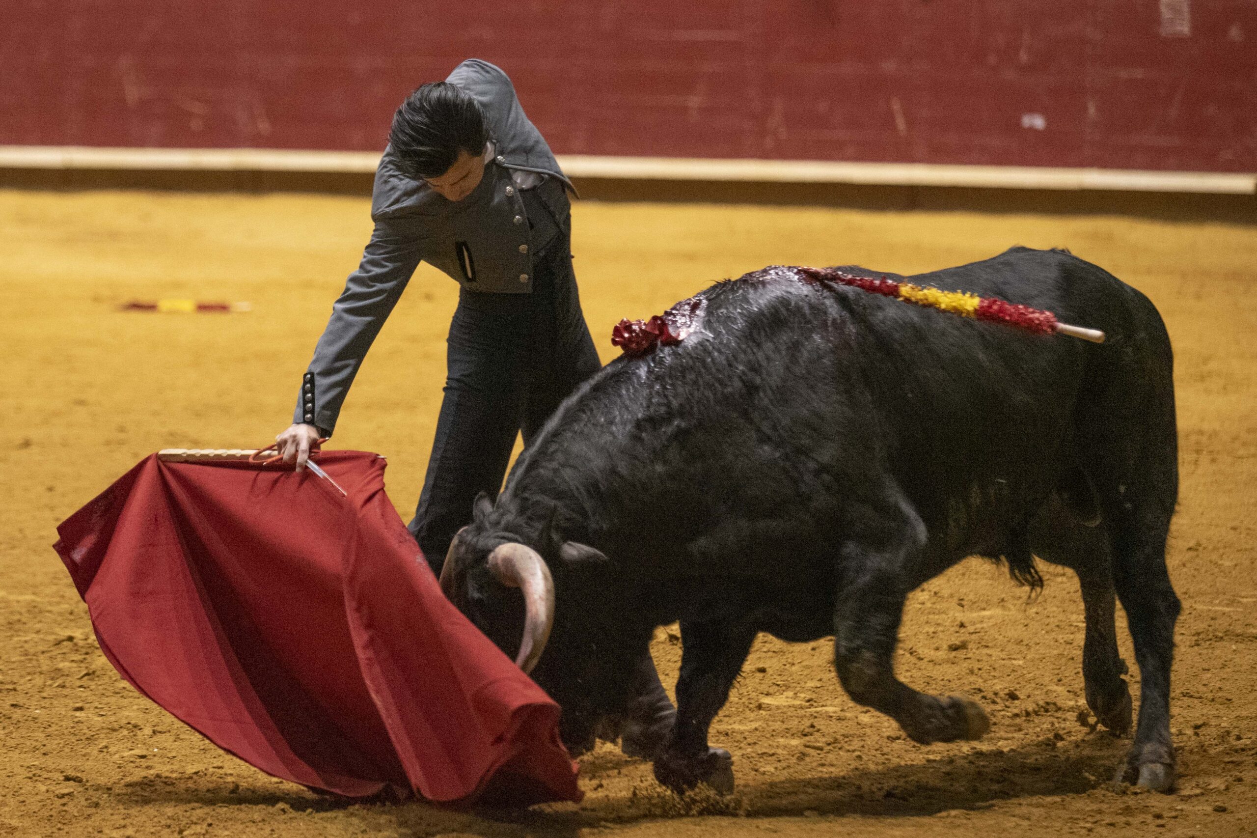 Arroyo de la Encomienda, domingo 16 de febrero de 2020