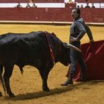 Arroyo de la Encomienda, domingo 16 de febrero de 2020