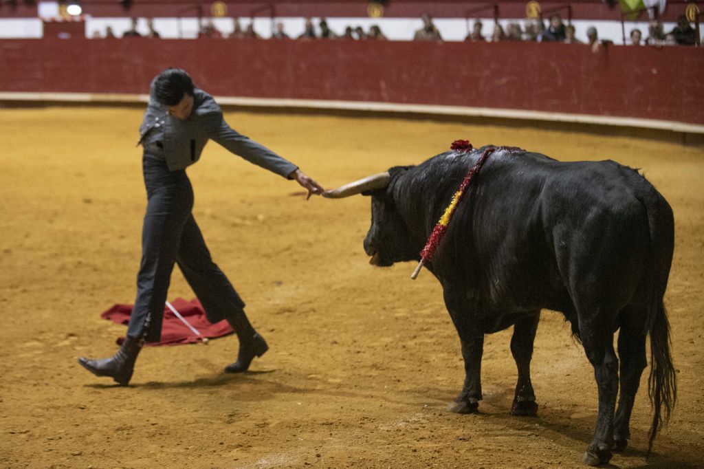 Arroyo de la Encomienda, domingo 16 de febrero de 2020