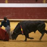 Arroyo de la Encomienda, domingo 16 de febrero de 2020