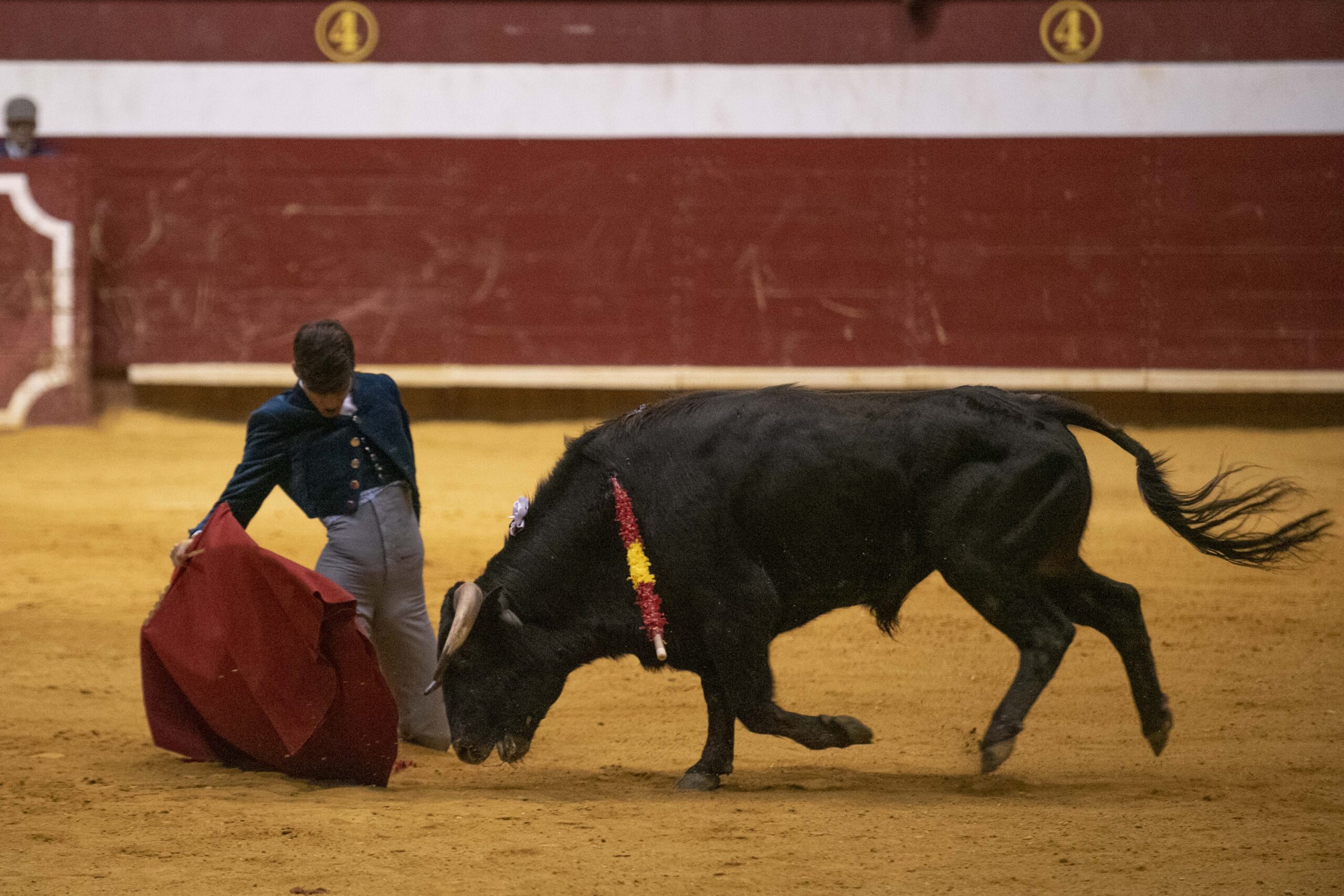 Arroyo de la Encomienda, domingo 16 de febrero de 2020