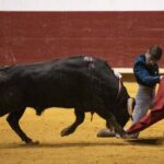 Arroyo de la Encomienda, domingo 16 de febrero de 2020