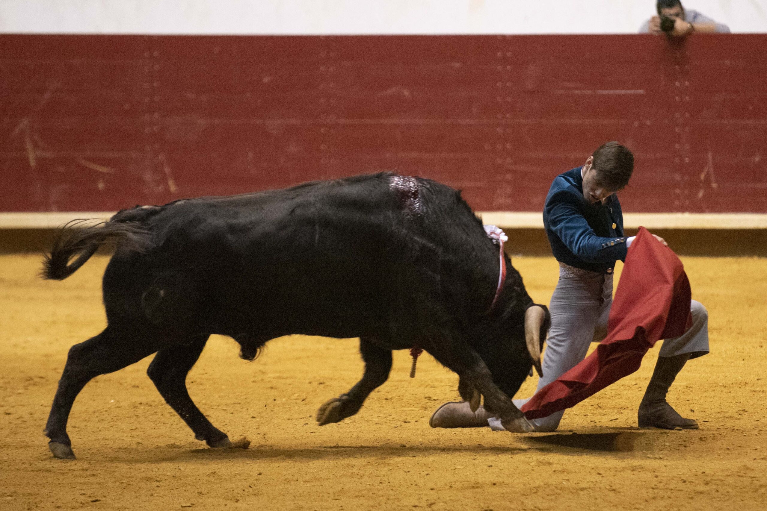 Arroyo de la Encomienda, domingo 16 de febrero de 2020
