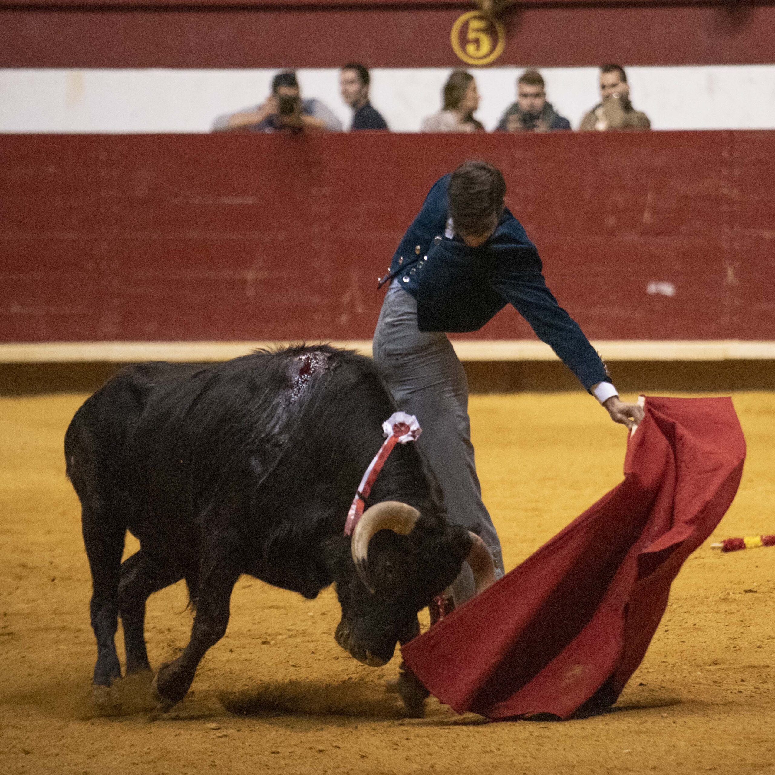 Arroyo de la Encomienda, domingo 16 de febrero de 2020