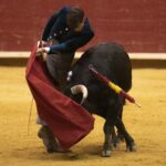 Arroyo de la Encomienda, domingo 16 de febrero de 2020