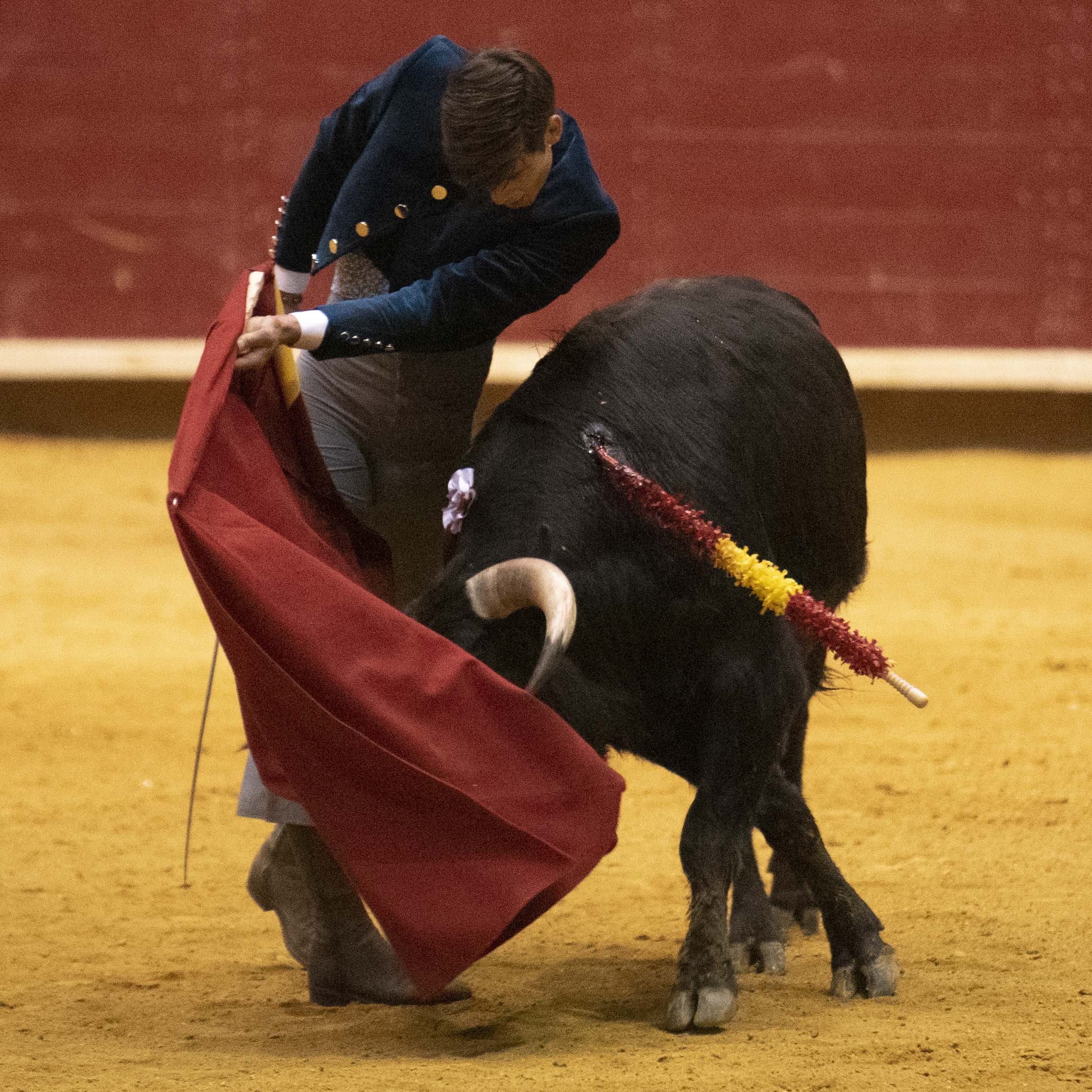 Arroyo de la Encomienda, domingo 16 de febrero de 2020