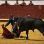 Arroyo de la Encomienda, domingo 16 de febrero de 2020