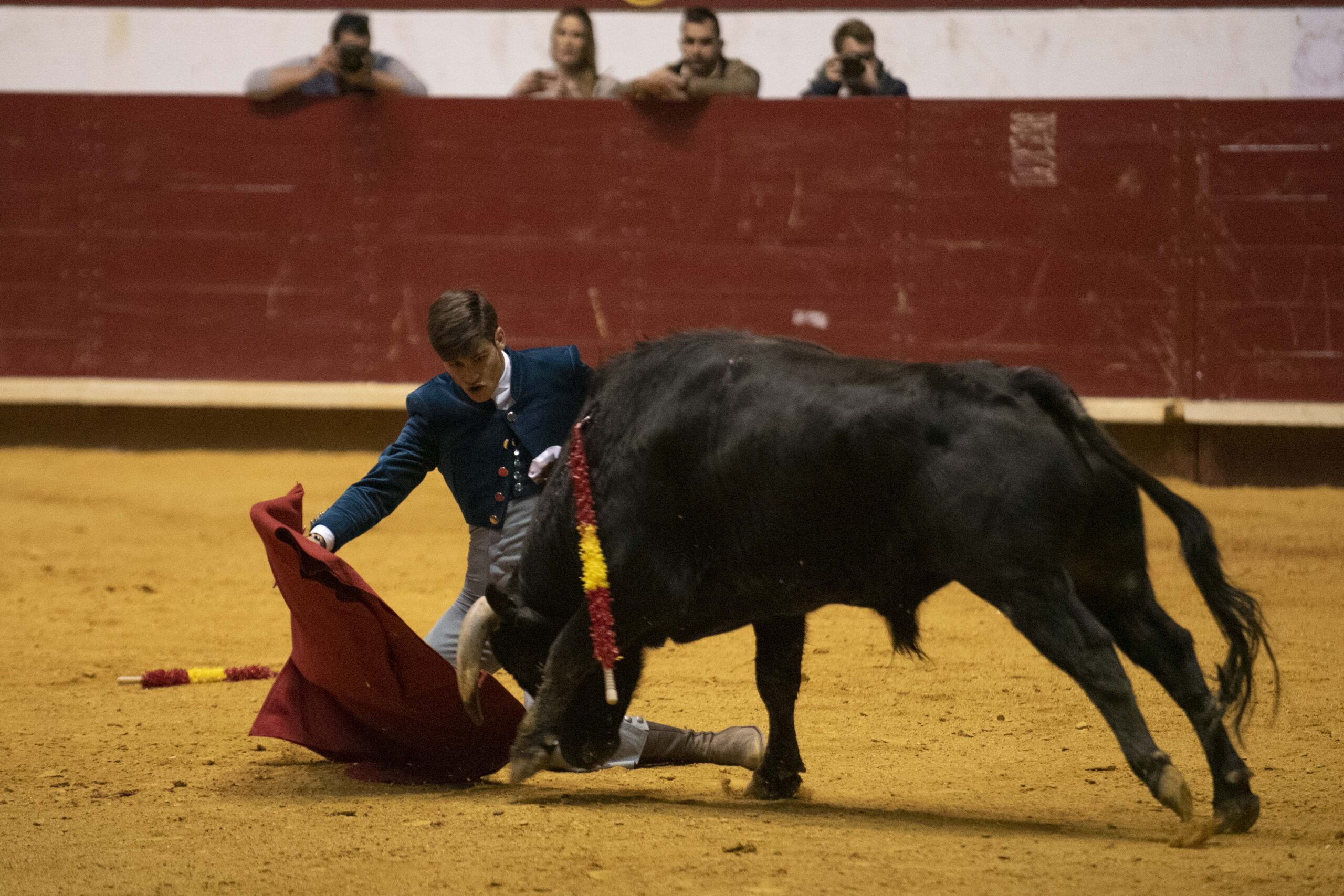 Arroyo de la Encomienda, domingo 16 de febrero de 2020