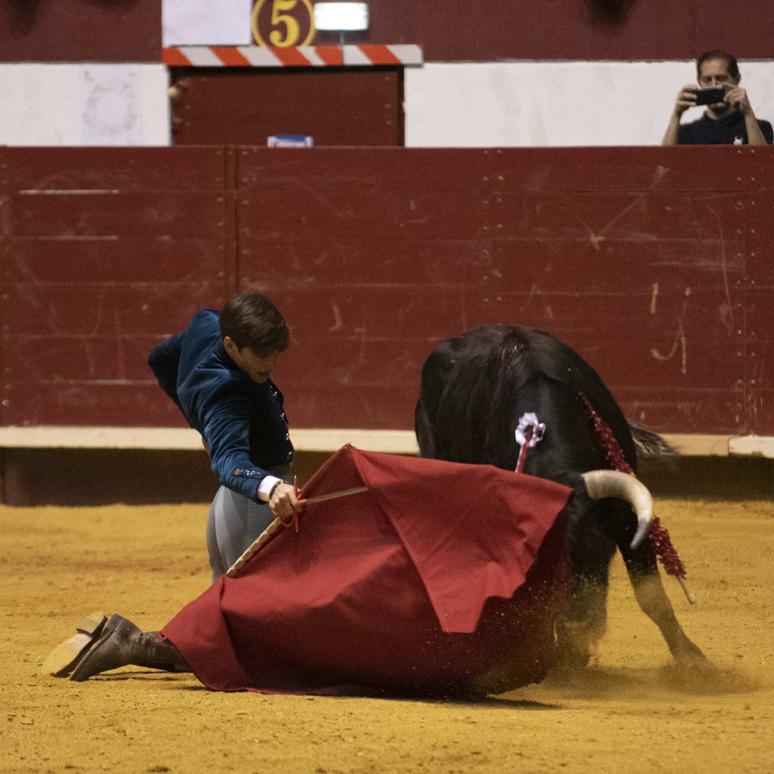 Arroyo de la Encomienda, domingo 16 de febrero de 2020