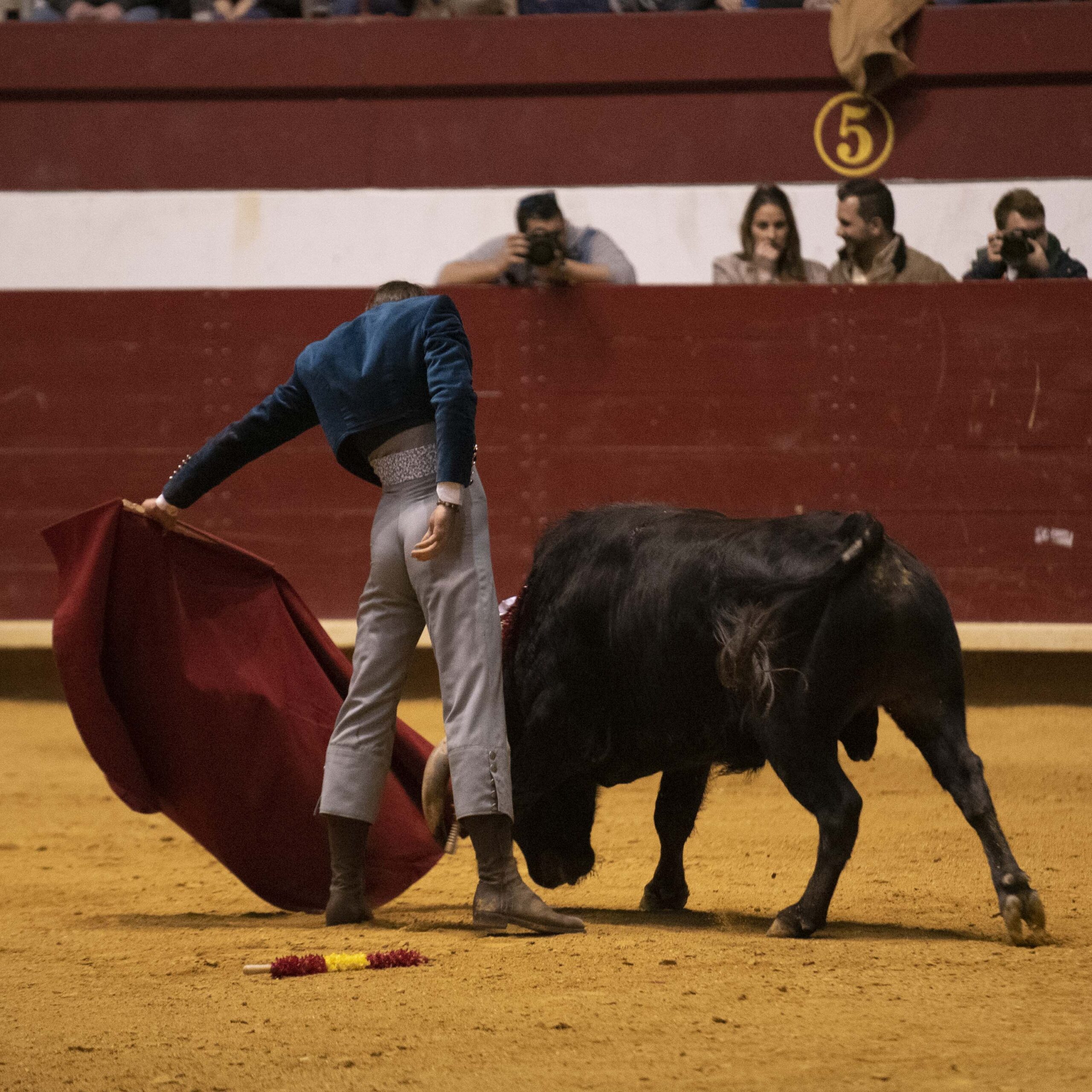 Arroyo de la Encomienda, domingo 16 de febrero de 2020