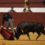 Arroyo de la Encomienda, domingo 16 de febrero de 2020