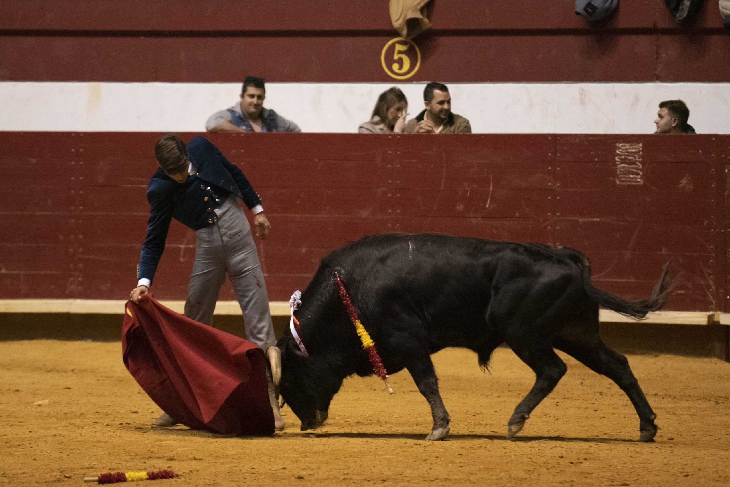 Arroyo de la Encomienda, domingo 16 de febrero de 2020