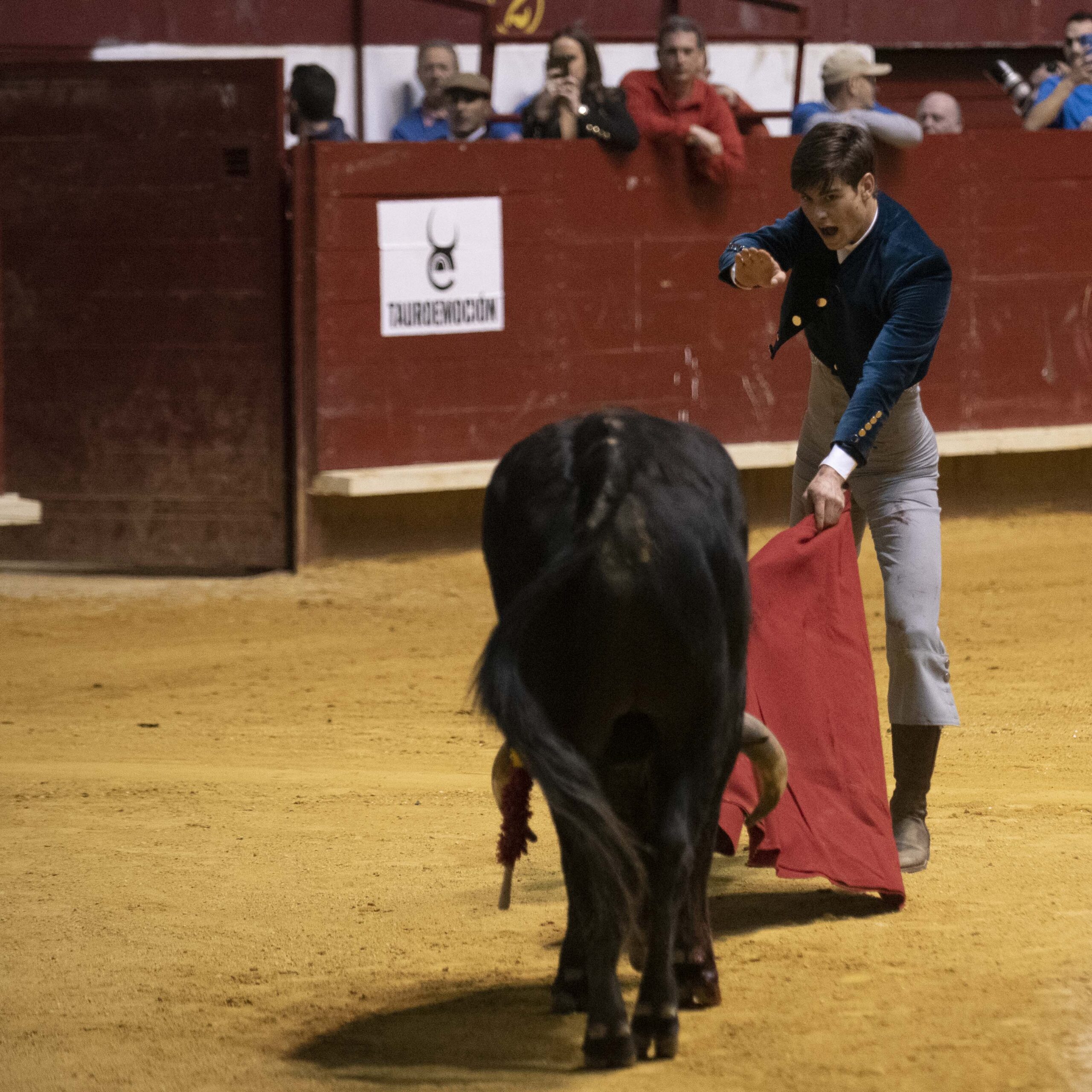 Arroyo de la Encomienda, domingo 16 de febrero de 2020
