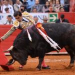 Ciudad de México (México), lunes 3 de febrero de 2020.