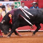 Ciudad de México (México), lunes 3 de febrero de 2020.