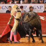 Ciudad de México (México), lunes 3 de febrero de 2020.