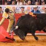 Ciudad de México (México), lunes 3 de febrero de 2020.