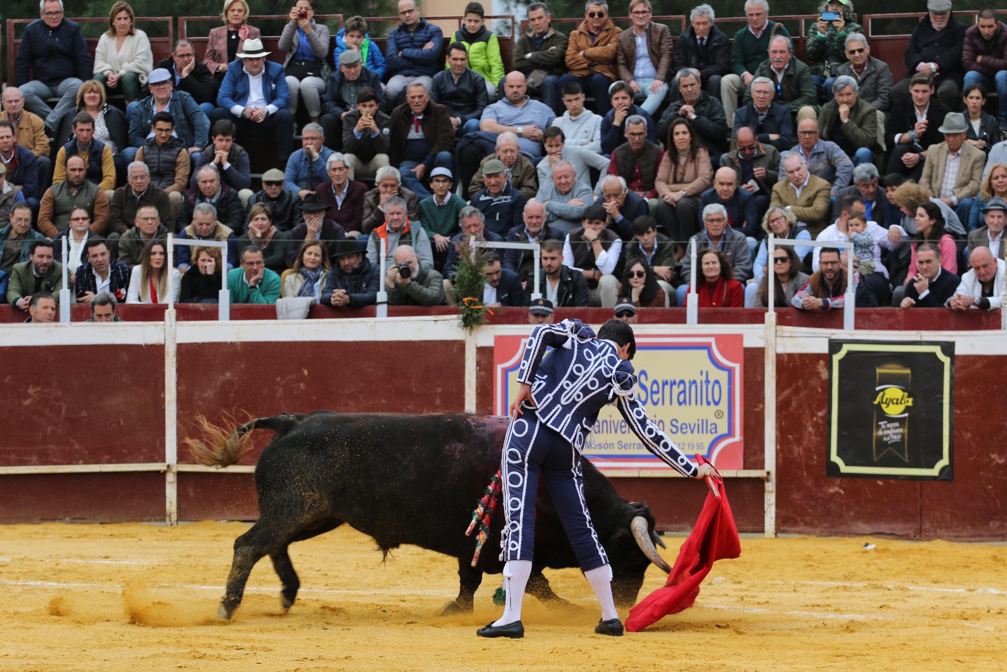Camas, sábado 29 de febrero de 2020