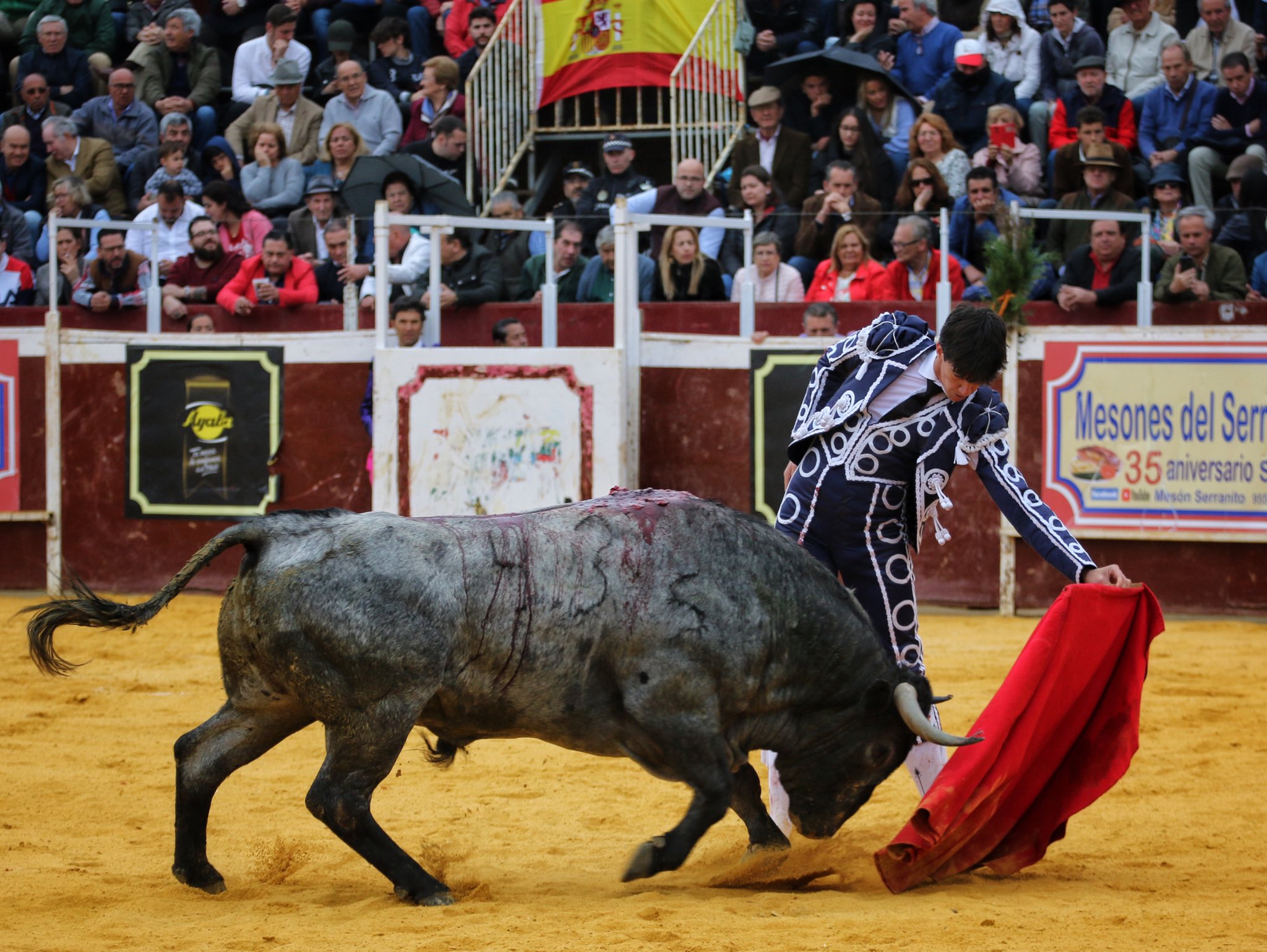 Camas, sábado 29 de febrero de 2020