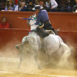 San Luis Potosí (México), viernes 7 de febrero de 2020